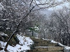 -香山公园