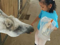 -松声马术俱乐部