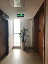 -明宇集团·积木枝芽母婴健康管理中心(天府店)