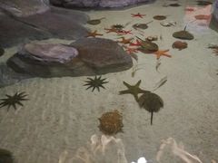 -福州罗源湾海洋世界旅游区