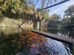 -千岛湖东南湖区