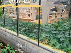 -南宫五洲植物乐园