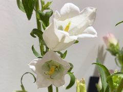 -乾威·泰式按摩•龙筋spa(金地店)
