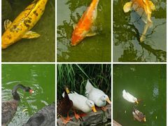 -三里河公园