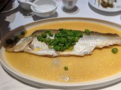 -月湖翠·上海菜(思南公馆淮海店)