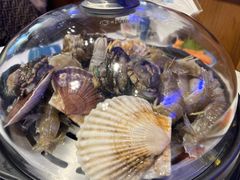 -半岛听涛蒸汽海鲜自助(K11店)