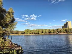 -大兴滨河森林公园