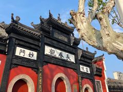 -长春观