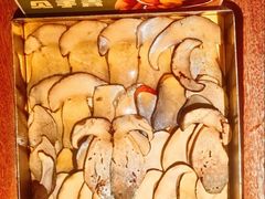 见手青-季季山·云南野生菌火锅(上海首店)