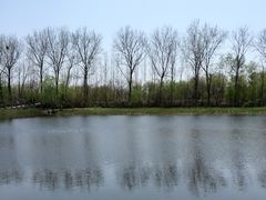 -溱湖国家湿地公园