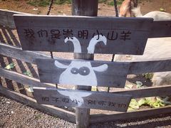 -前小桔亲子创意农场·草莓采摘·露营烧烤