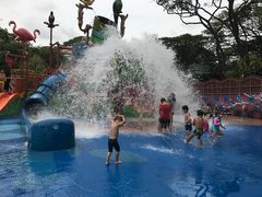 -新加坡飞禽公园