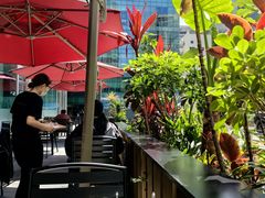 -THE WOODS 简餐 (国贸商城店)