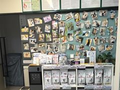 -爱妮康宠物医院·干细胞免疫细胞·肿瘤·心脏(张江店)