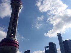 -上海大自然野生昆虫馆