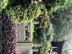 -十八棵（老龙井）御茶园(老龙井店)