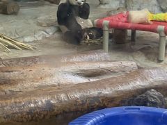 -海南热带野生动植物园