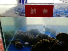-小龍鳳·港式海鲜打边炉(沙湖路店)