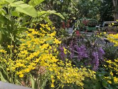 -中国科学院西双版纳热带植物园