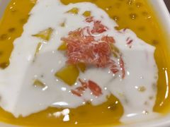 -南信牛奶甜品专家