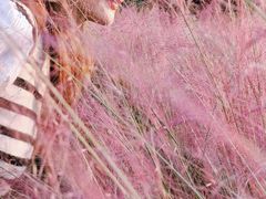 -艾溪湖湿地公园