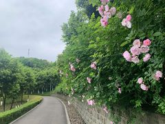 -重庆中央公园(渝北区)