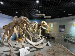 -河南自然博物馆