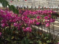 -天源吉布世温泉水乐园