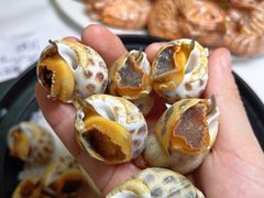 -阳江餐厅·30年老字号·粤菜海鲜大排档