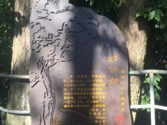 -溪口-滕头旅游景区