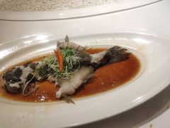 -宝燕壹号(徐汇店)