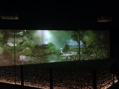 iphone_upload_pic-溱湖国家湿地公园