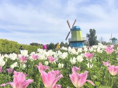 -北京国际鲜花港