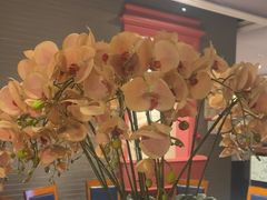 -八府香鸭·啫啫煲(华山路店)