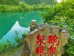 -靖西鹅泉风景区