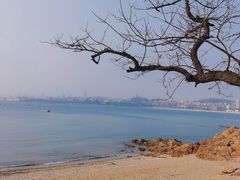 -八大关景区