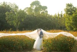 -柠檬树摄影(红谷滩店)