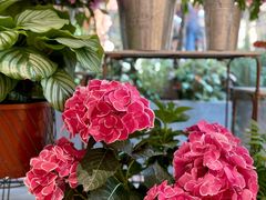 -二酉书店TOYOU BOOKS