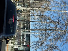 -奔驰利星行(北京花乡店)