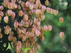 -西湖风景区-江洋畈生态公园