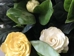 -三旗百汇商品城