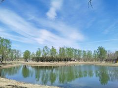 -东郊湿地公园