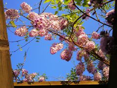 -白塘生态植物园