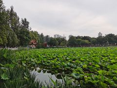 -翠湖宾馆·中餐厅