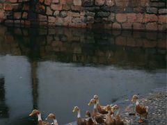 -丝绸小镇荻港古村