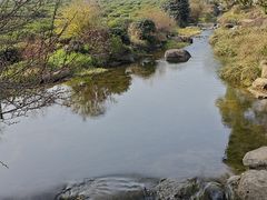 -中国茶叶博物馆(双峰馆区)