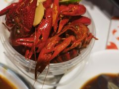 -杨氏青龙虾·羊蝎子(托乐嘉店)