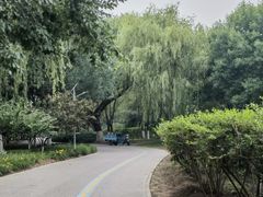 -永定河休闲森林公园