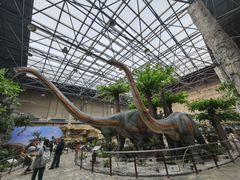 -国家自然博物馆