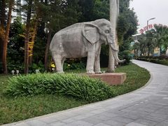 -深圳野生动物园